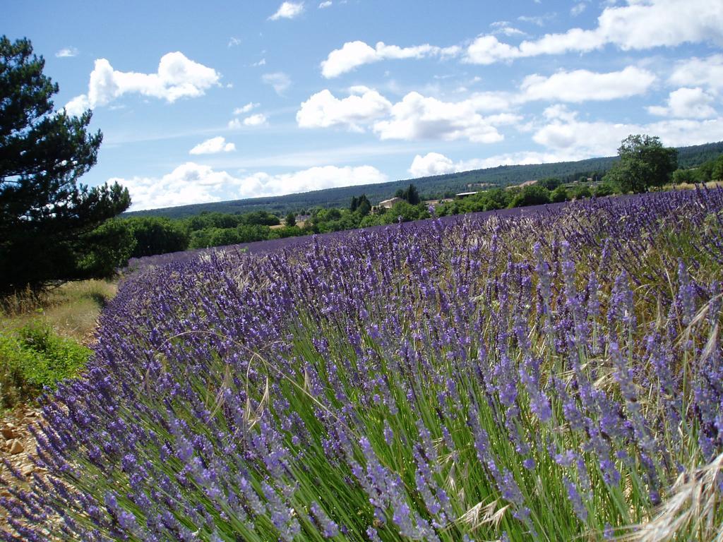 Bed and Breakfast Le Grangeon Cruis Екстер'єр фото