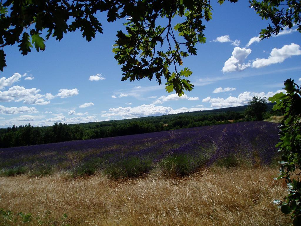 Bed and Breakfast Le Grangeon Cruis Екстер'єр фото
