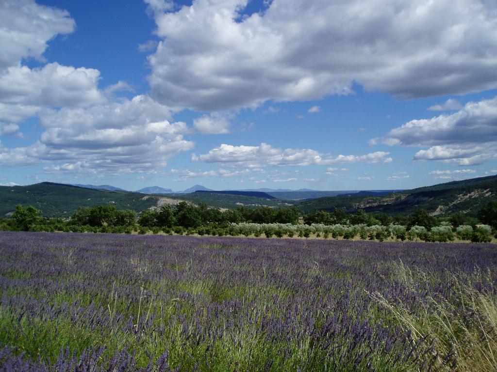 Bed and Breakfast Le Grangeon Cruis Екстер'єр фото